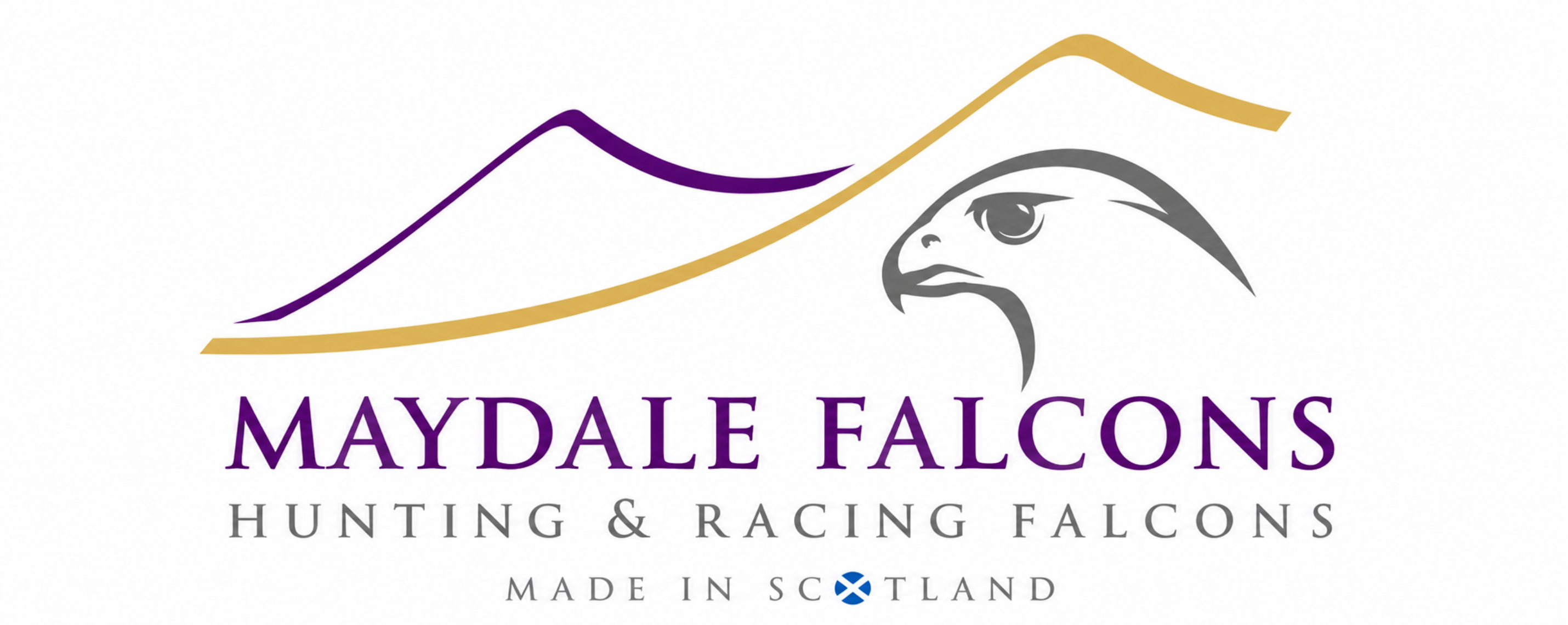 Maydale Falcons logo